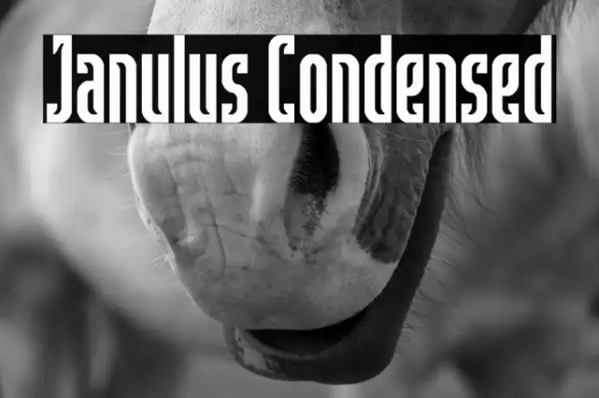 Janulus Condensed Font examples