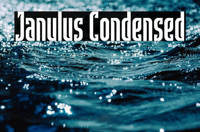 Janulus Condensed Example 3