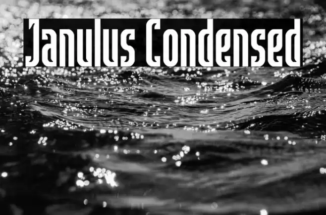 Janulus Condensed Font examples