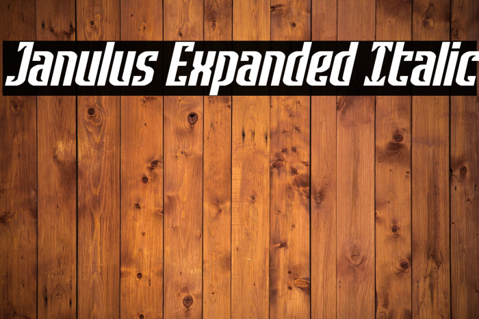 Janulus Expanded Italic Example 1