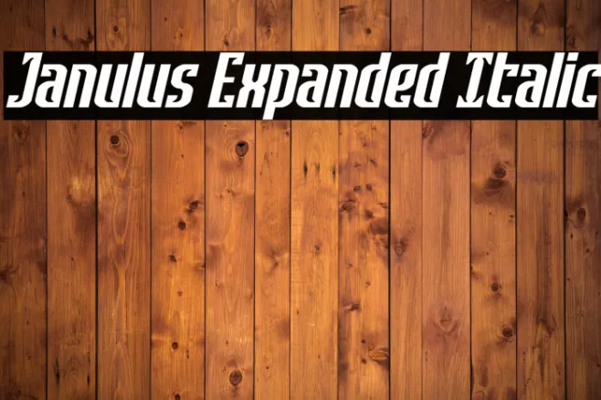 Janulus Expanded Italic Example 1