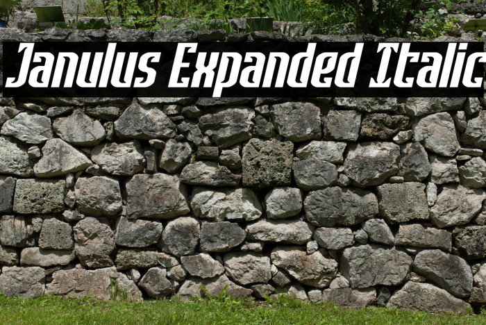 Janulus Expanded Italic Example 2