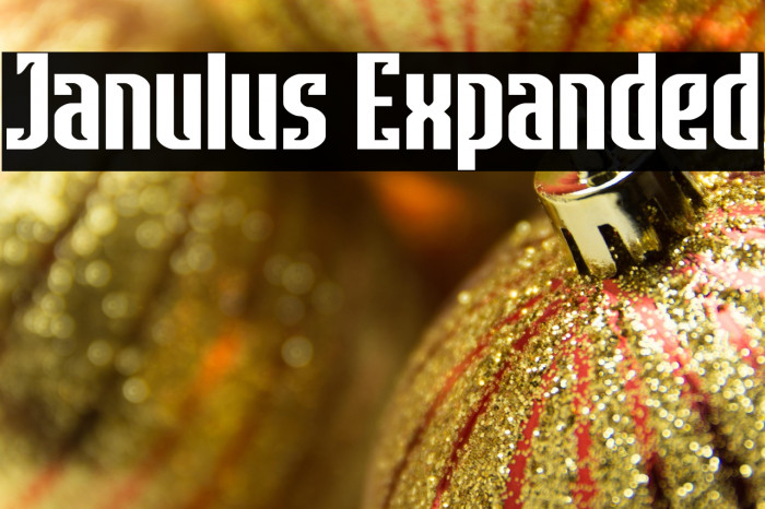 Janulus Expanded Example 1