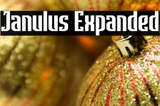 Janulus Expanded Example 1