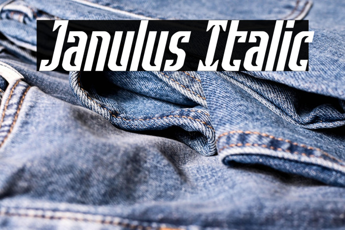 Janulus Italic Example 1
