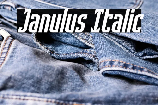 Janulus Italic Example 1