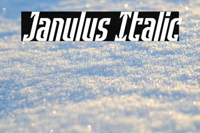 Janulus Italic Example 2