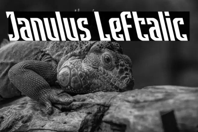 Janulus Leftalic Font examples