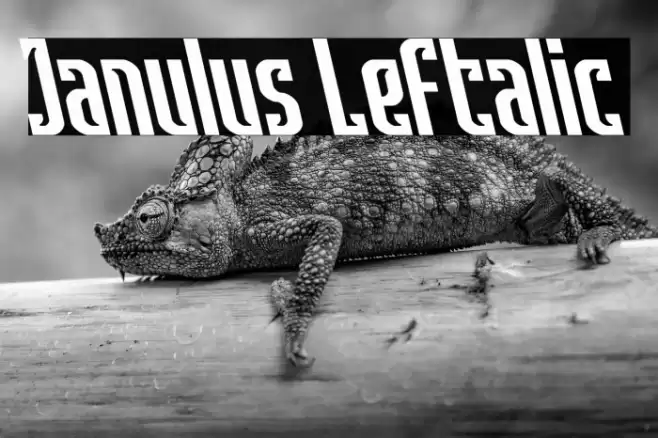 Janulus Leftalic Font examples