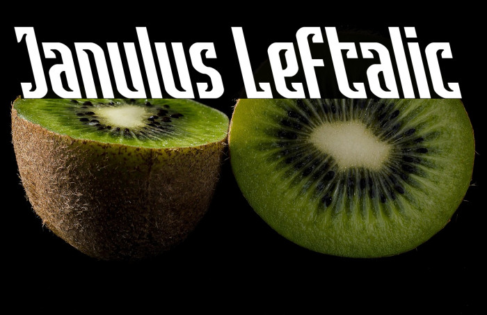 Janulus Leftalic Example 3