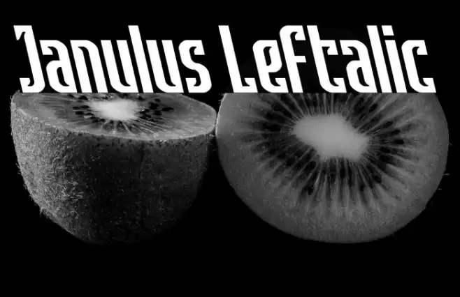 Janulus Leftalic Font examples