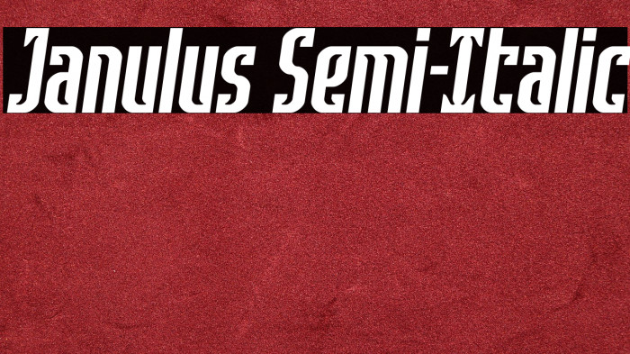 Janulus Semi-Italic Example 1
