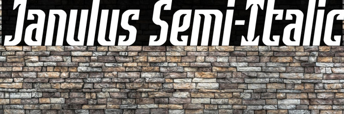 Janulus Semi-Italic Example 2
