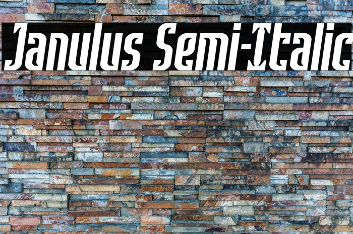 Janulus Semi-Italic Example 3