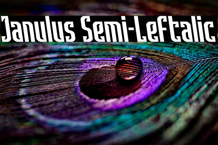 Janulus Semi-Leftalic Example 1