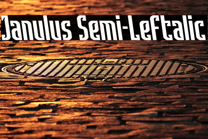 Janulus Semi-Leftalic Example 3