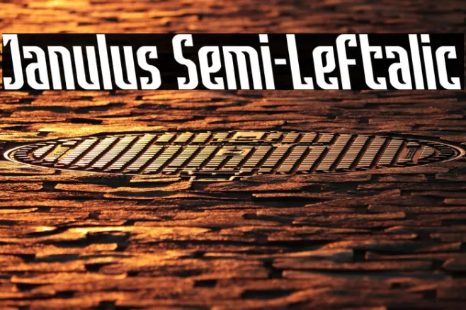 Janulus Semi-Leftalic Example 3