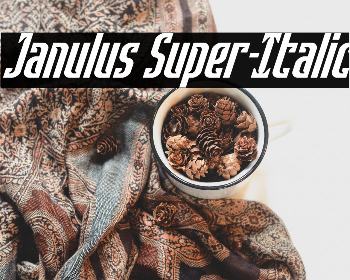 Janulus Super-Italic Example 1