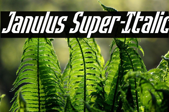 Janulus Super-Italic Example 3