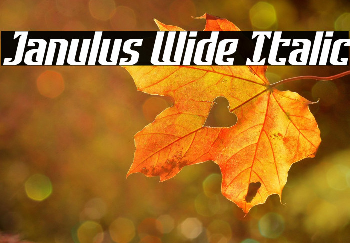 Janulus Wide Italic Example 1