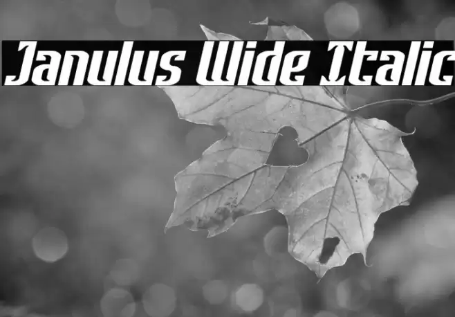 Janulus Wide Italic Font examples