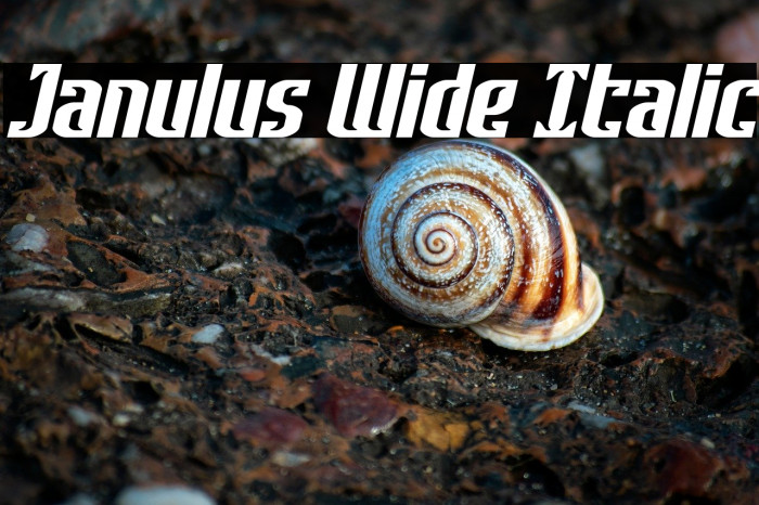 Janulus Wide Italic Example 2