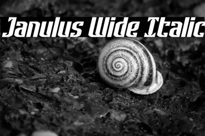 Janulus Wide Italic Font examples