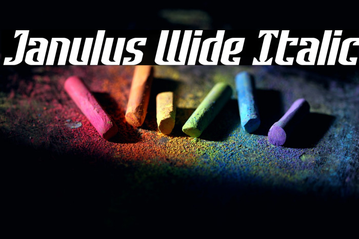 Janulus Wide Italic Example 3
