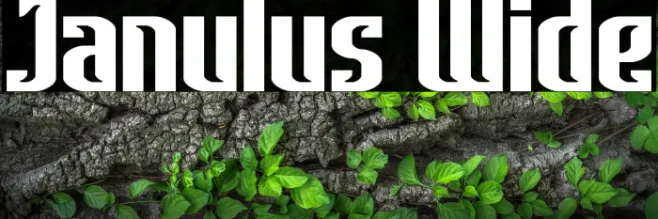 Janulus Wide Example 1