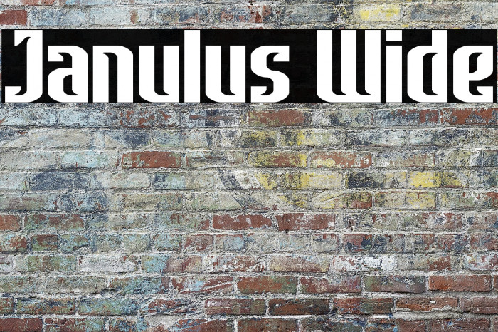 Janulus Wide Example 3