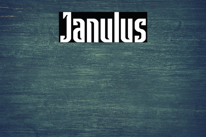 Janulus Example 2