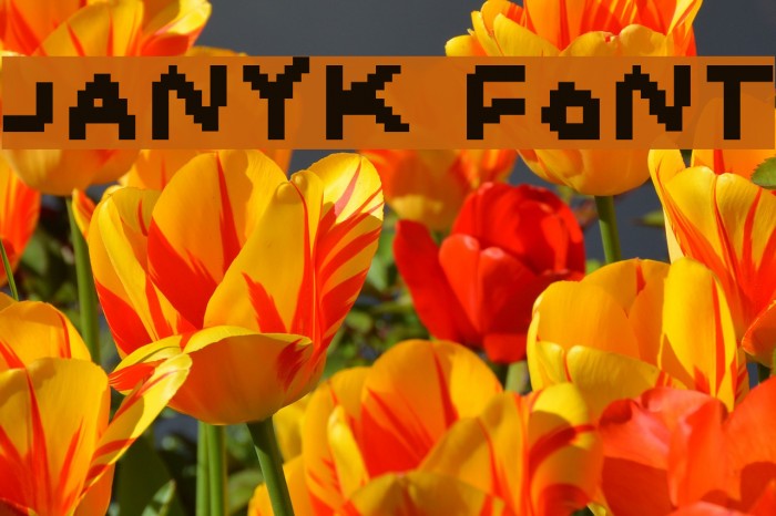 Janyk Font examples