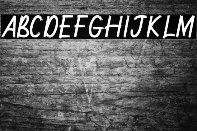 Janyss Brush Font examples