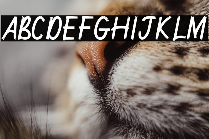 Janyss Brush Example 2