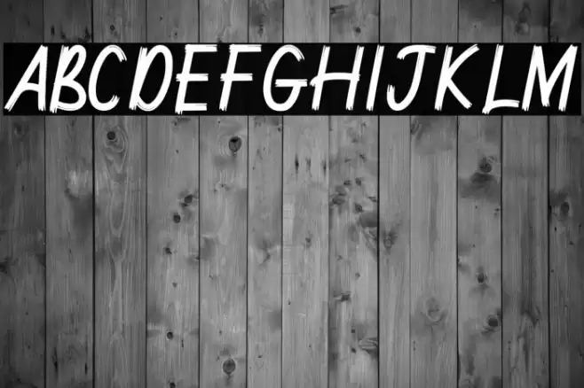 Janyss Brush Font examples