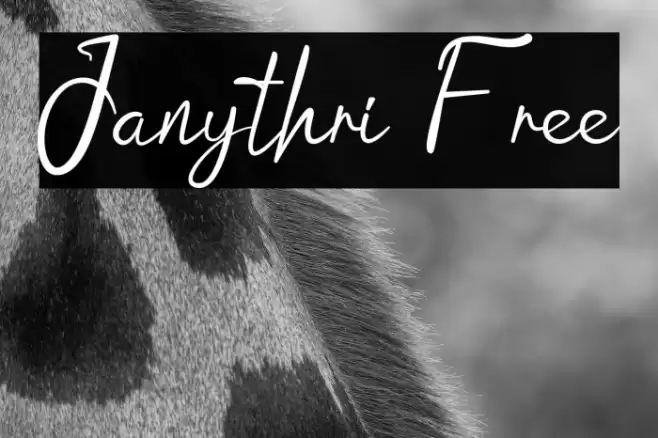Janythri Free Font examples