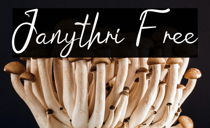 Janythri Free Example 2