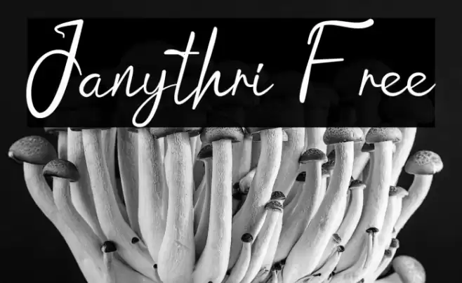 Janythri Free Font examples