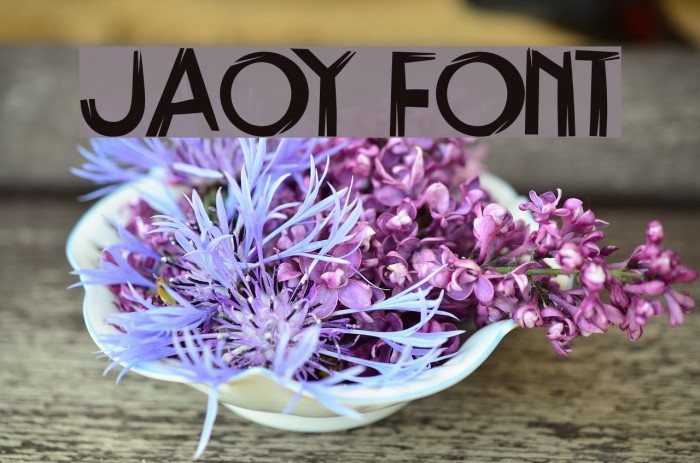 Jaoy Шрифта examples