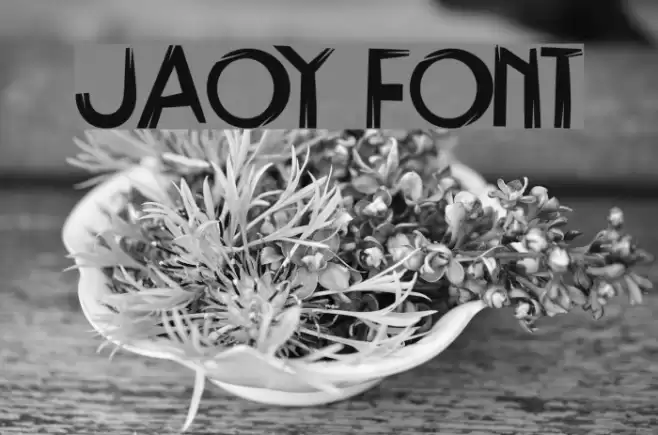 Jaoy Шрифта examples