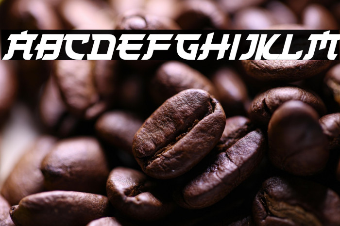 Japanese 2020 Italic Example 3