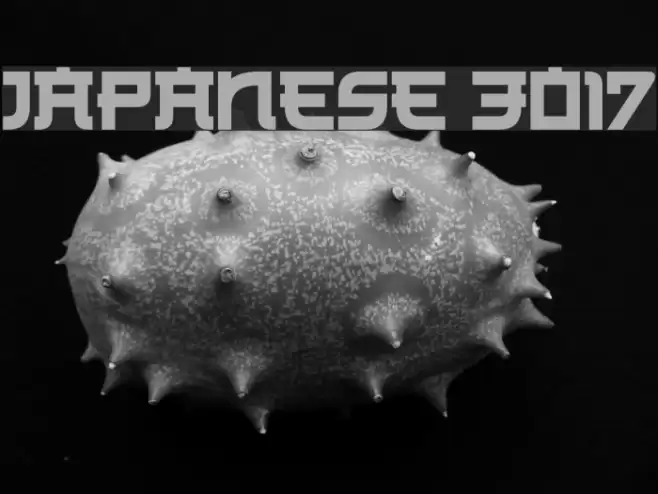 Japanese 3017 Font examples