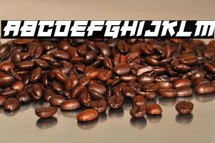 Japanese Robot Italic Example 1