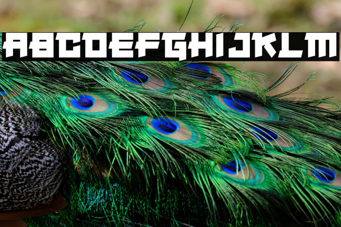 Japanese Robot Example 3