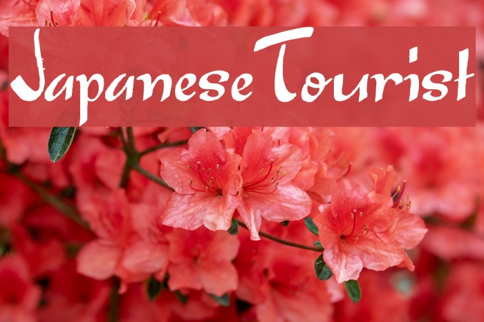 Japanese Tourist Font examples