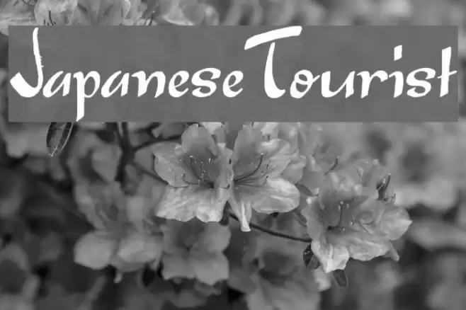 Japanese Tourist Шрифта examples