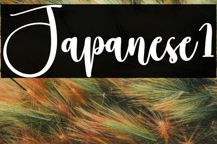 Japanese1 Example 1