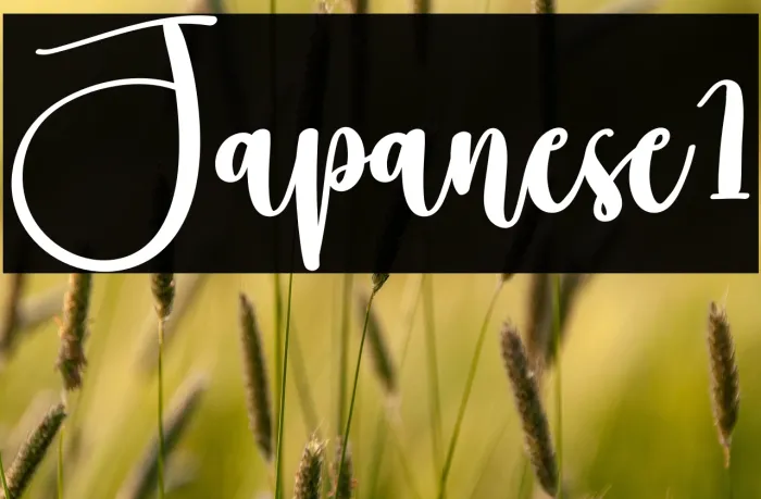 Japanese1 Example 3
