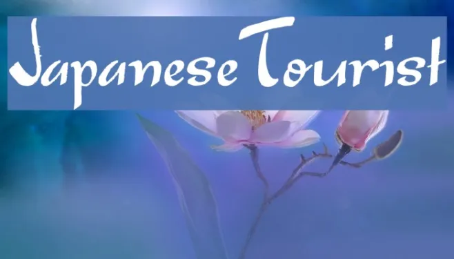 JapaneseTourist Example 3