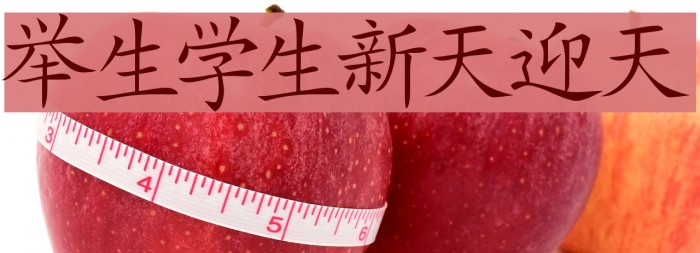 Japanese Font examples